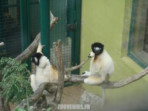 Découvrez le Parc Zoologique de Besançon