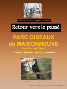 17 Parc Ornithologique des Grands Ponteaux - Saint Pierre d'Oléron