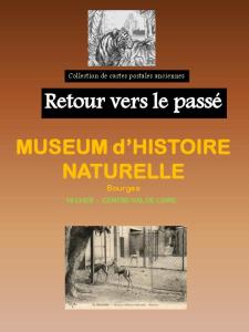 18 Muséum d'Histoire Naturelle de Bourges