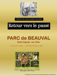 41 ZooParc de Beauval