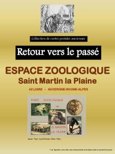 42 Zoo de St Martin la Plaine